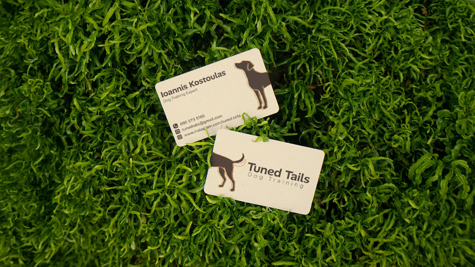 Tuned Tails business cards, front and back, on moss